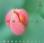 CD 球根の中には